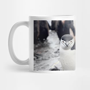 Wild life design Mug